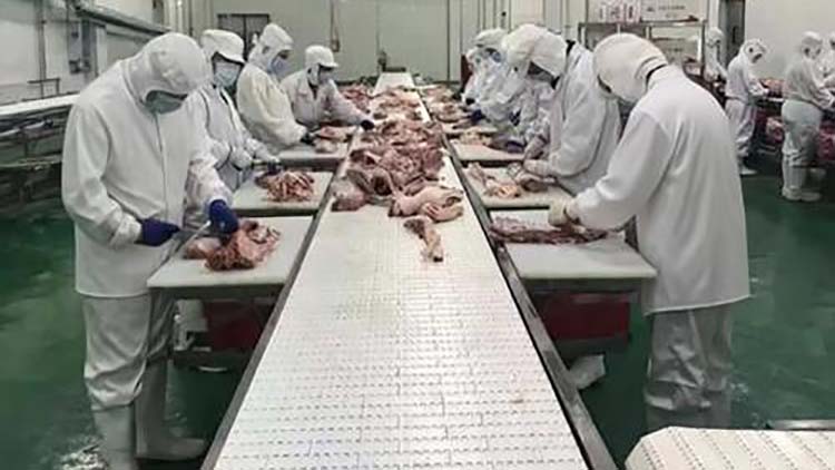 微信圖片_20260130142717改