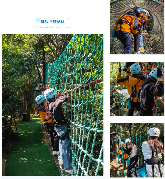 1735785729359 1735785729359