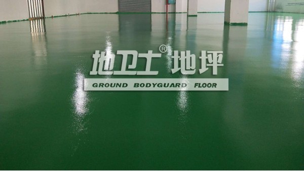 廣東順德洤露環保科技有限公司采用地衛士環氧地坪漆翻新